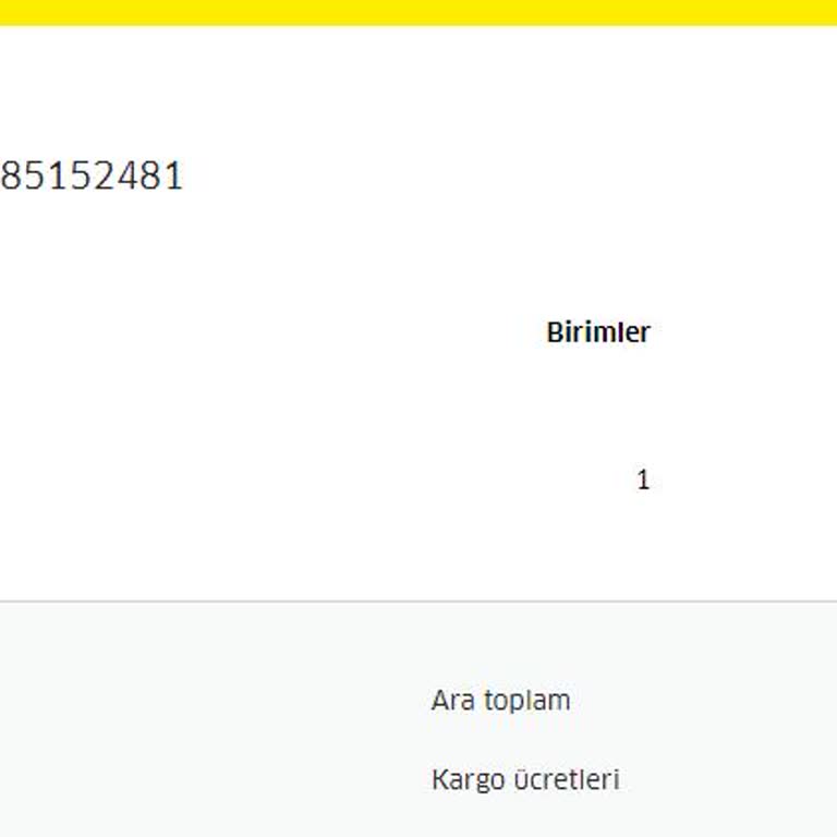 Karcher Buharlı Yer Silme Makinesi