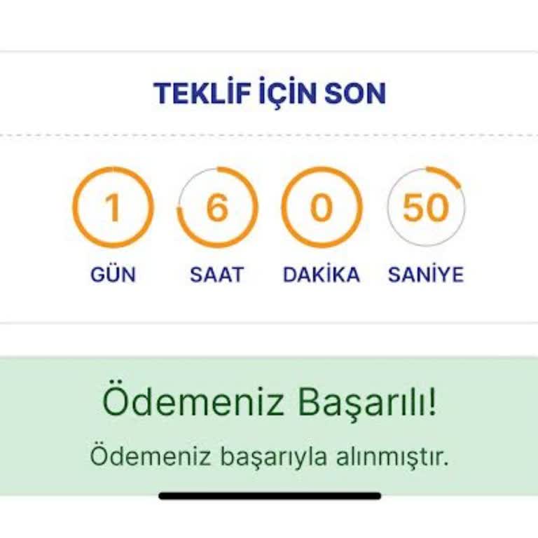 Feribotlines Tan Tur Ve Bilet Almak Pişmanlıktır