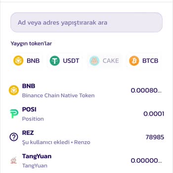 Binance Ve Pancakeswap'tan Şikayetçiyim