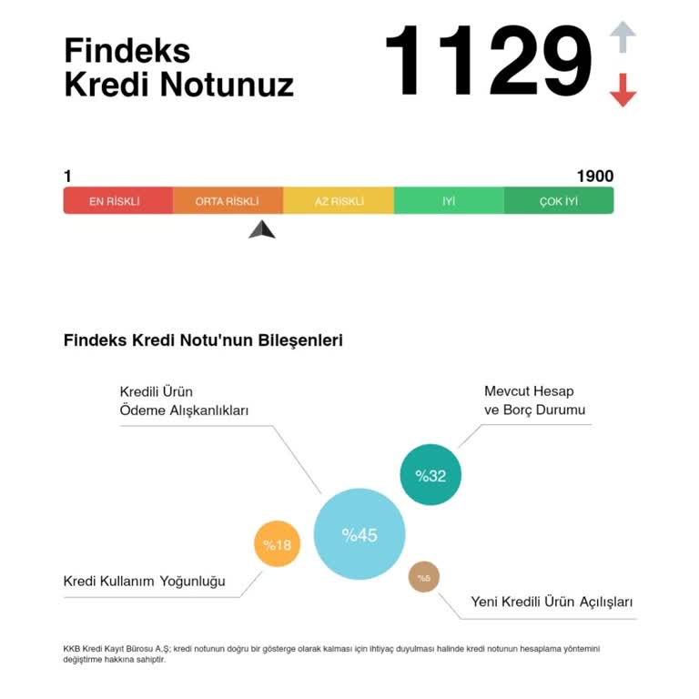 Findeks Kredi Notum 1129