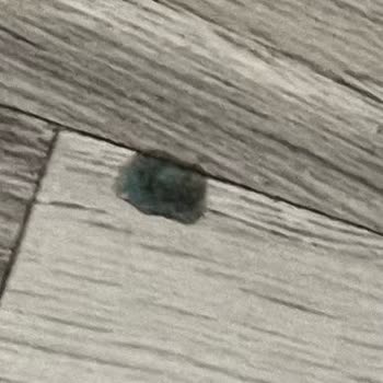 Büyük Mardin Oteli Müşteri Memnuniyetsizliği