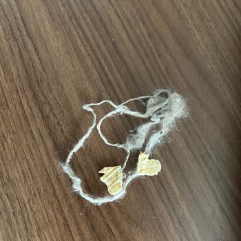 Filikler Maraş Tarhanası Filikler Tarhana İçinden Yün İplik Çıktı