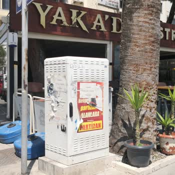 Kablo Net Kaldırım Üzerinde Ve Ortada Bulunan Dağıtım Kutusu