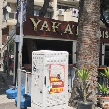 Kablo Net Kaldırım Üzerinde Ve Ortada Bulunan Dağıtım Kutusu