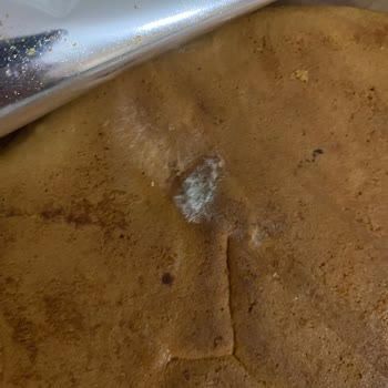 Untad Pandispanya Keki Küflü Çıktı