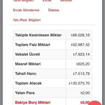 Öz Salça Bir Markanın Borç Ödeme Sorunları Ve İcra Takibi