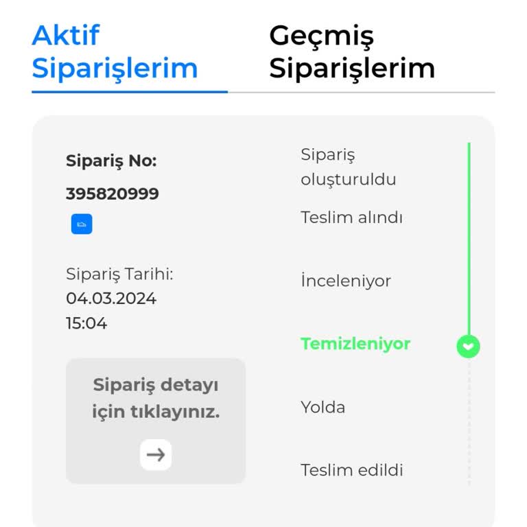 Online Lostra Ayakkabıya El Koydu