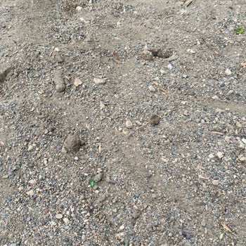 Bursa Büyükşehir Belediyesi Oyun Parkı Sorunu