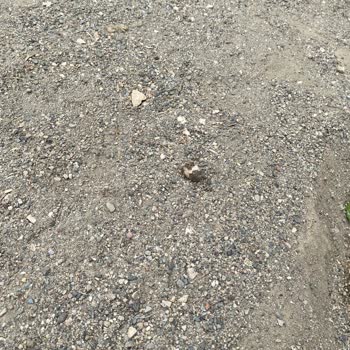 Bursa Büyükşehir Belediyesi Oyun Parkı Sorunu