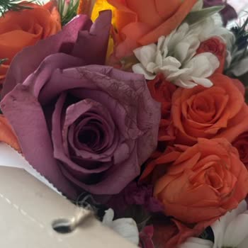 Lozine Flowers Lozineflowers.com'dan Çiçek Sipariş Vermek Pişmanlıktır!