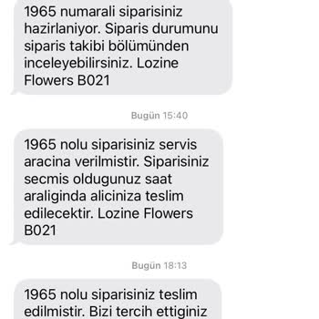 Lozine Flowers Lozineflowers.com'dan Çiçek Sipariş Vermek Pişmanlıktır!