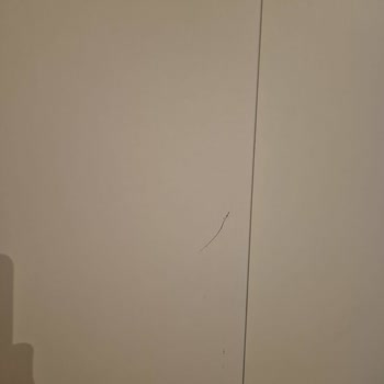 Bellona Yanlış Renk Koltuk Yastığı Ve Çizik Gardırop Kapağı