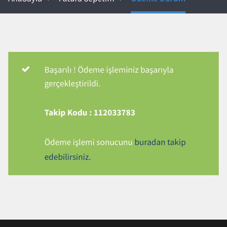 Efaturaode.net Faturam Ödenmedi Kartıma İade İstiyorum