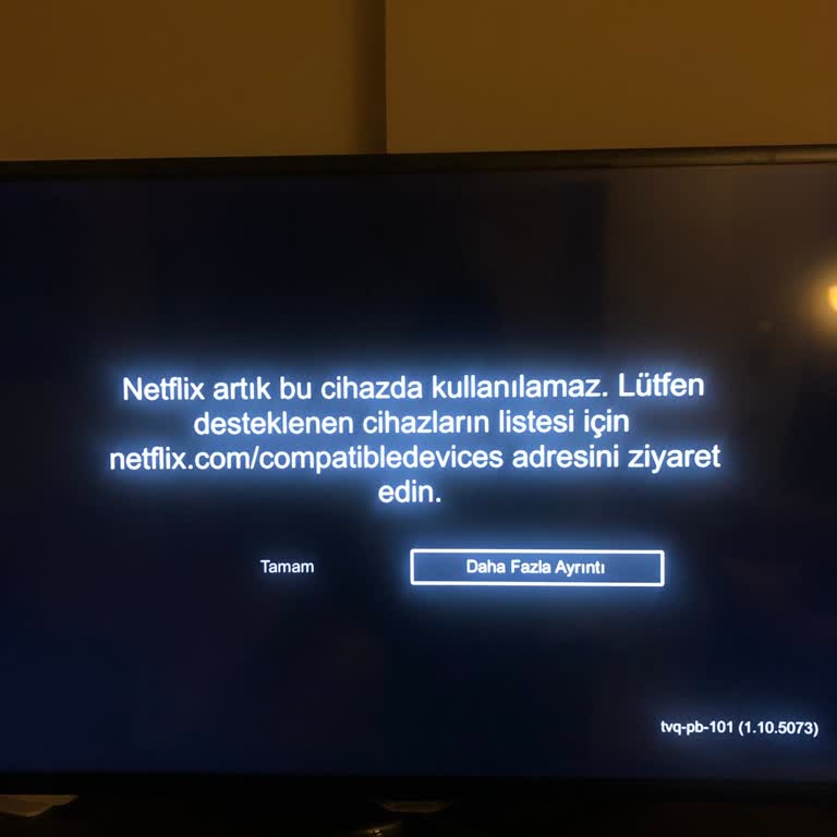 Netflix, Televizyonumda Artık! Kullanılamıyor.