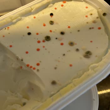 Torku Krem Peynir Küflenme