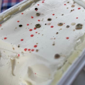 Torku Krem Peynir Küflenme