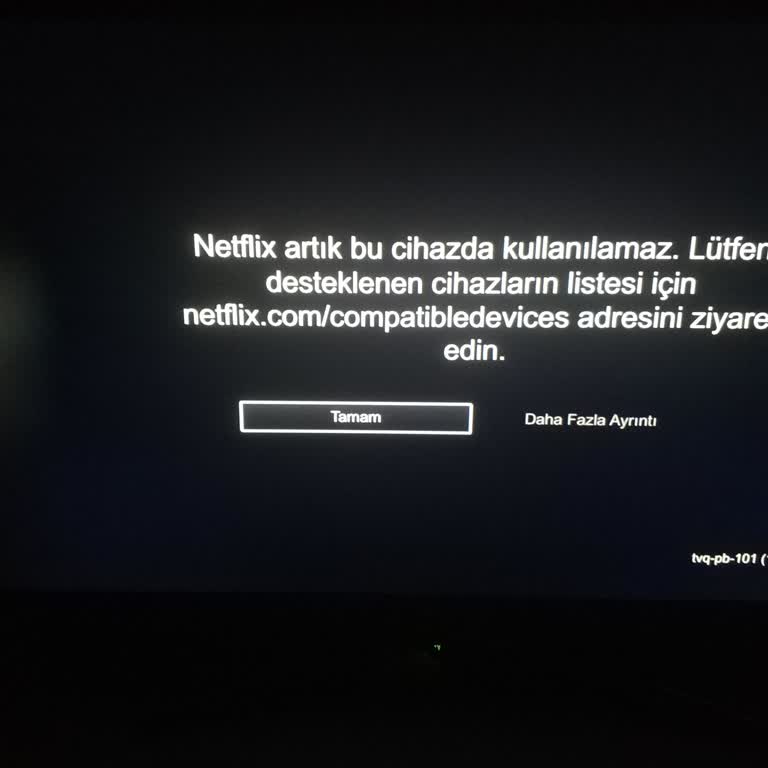 Samsung Smart TV Netflix Uyum Sorunu