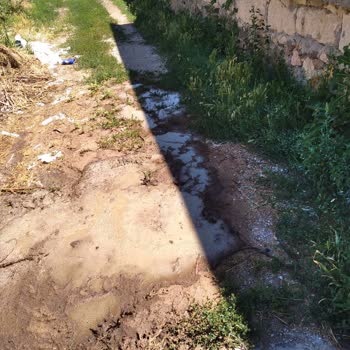 Yerleşim Yerinde Hayvancılık Olmasından Rahatsızız Mahalleli Olarak
