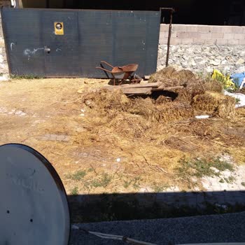 Yerleşim Yerinde Hayvancılık Olmasından Rahatsızız Mahalleli Olarak