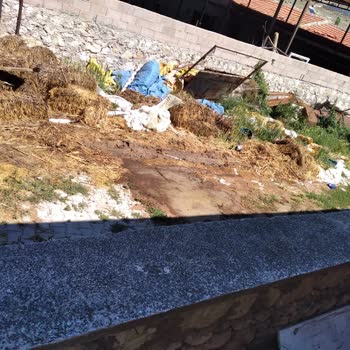 Yerleşim Yerinde Hayvancılık Olmasından Rahatsızız Mahalleli Olarak