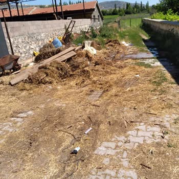 Yerleşim Yerinde Hayvancılık Olmasından Rahatsızız Mahalleli Olarak