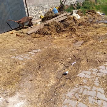 Yerleşim Yerinde Hayvancılık Olmasından Rahatsızız Mahalleli Olarak