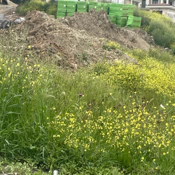 Beylikdüzü Belediyesi Yakuplu Sahil Mah. Acil!