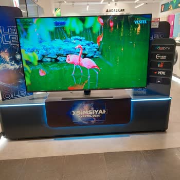 Gordion Vestel Ve Vestel Genel Müdürlüğü