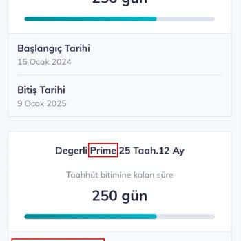 Türk Telekom Prime Hizmetlerinden Faydalanamayan Prime Üyesi