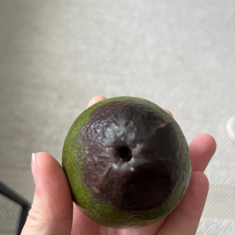 Getirden Çürük Ürün Gönderildi