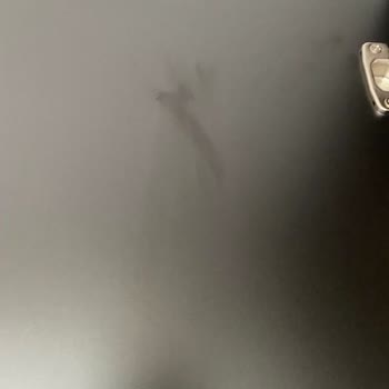 Enza Home Pişmanlık Ve Paranla Rezil Olmak Deyiminin Tam Karşılığı