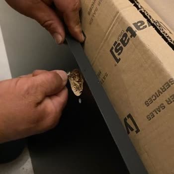 Enza Home Pişmanlık Ve Paranla Rezil Olmak Deyiminin Tam Karşılığı