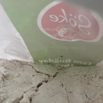 Söke Un Söke Tam Buğday Unu Karıncalarla Dolu