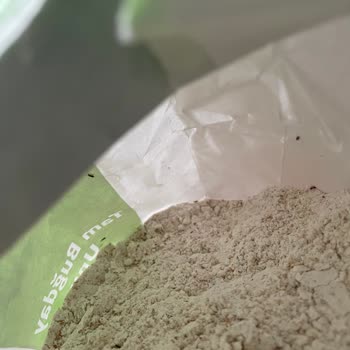 Söke Un Söke Tam Buğday Unu Karıncalarla Dolu