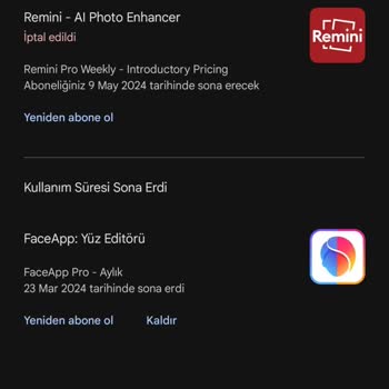 Remini Şikayet Geri Ödeme