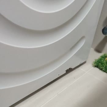 Bosch Çamaşır Makinesi Boya Atması Ve Paslanması