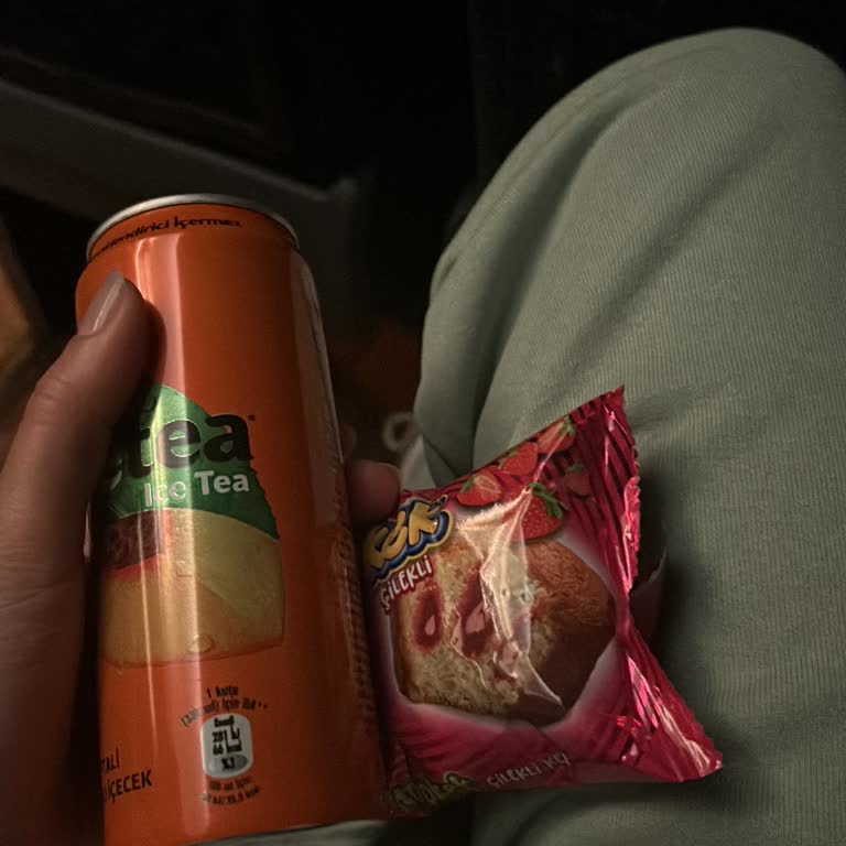 Ajet Ordu-Giresun 16.50 Uçuşu