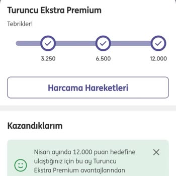 ING 3 Ay Sonra SWİFT Muhabir Ücreti Kesti Ücretsiz Demesine Rağmen