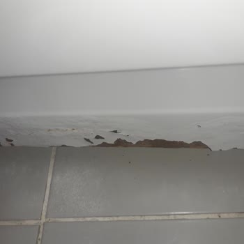 Beko Garantisi Biten Ürünlerde Yaşadığım Sıkıntı