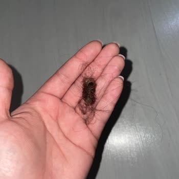 PHILIPS Ev Aletleri Philips Dikey Süpürge XC8049 Modeli Başlık Problemi