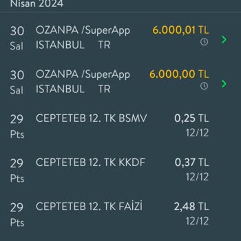 TEB Tarafından Engellenmeyen Ödemem