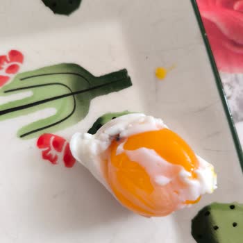 Bay-Tav Tavukçuluk Yumurtada Şaşırtan Karanlık: Kalite Kontrolü Şart!