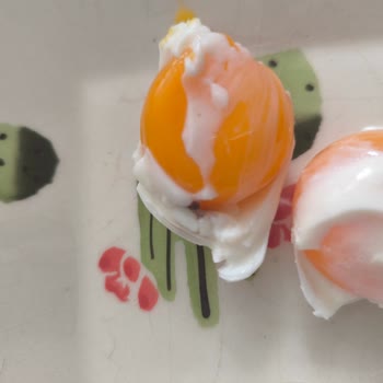 Bay-Tav Tavukçuluk Yumurtada Şaşırtan Karanlık: Kalite Kontrolü Şart!