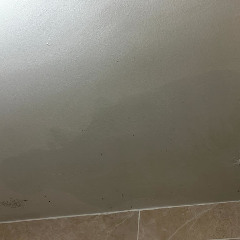 Türkiye Sigorta İşini Yapmıyor, Uğraştırıyor