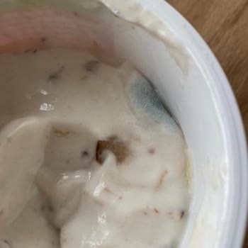 Sek Quark'ta Küf Sürprizi!