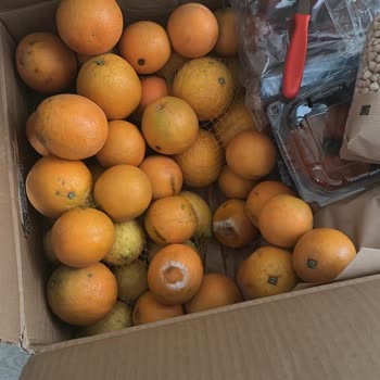 Anamur Bahçesi Şikayet