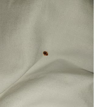 Hotels.com Tarafından Hukuksuz Uygulama