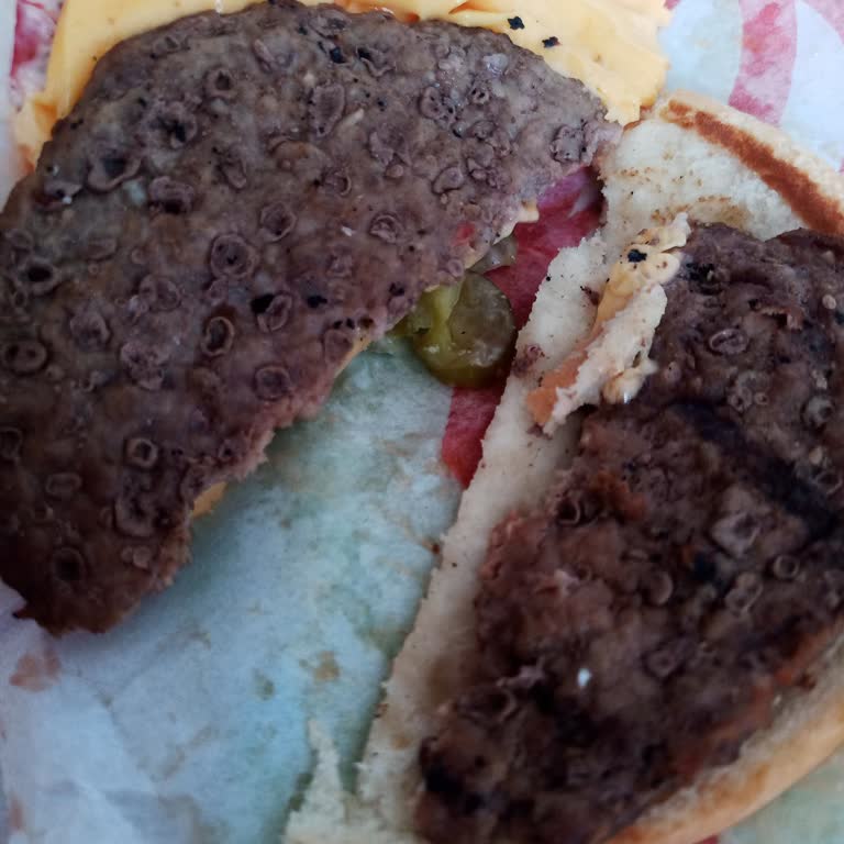 Burger King Hamburger Köftesi Tomurcuk Tomurcuk