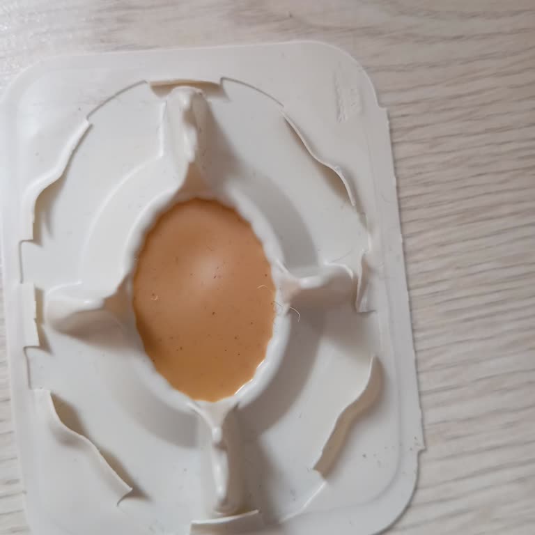 Raid Hamam Böceği Yemi