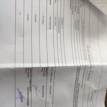 Adidas'ın Kokan Ayakkabısı